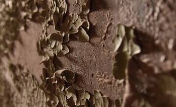 FOTO: Mestá duchov Černobyľ a Pripjať