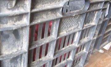 FOTO: Inšpektori v predajniach s potravinami odhalili viacero nedostatkov