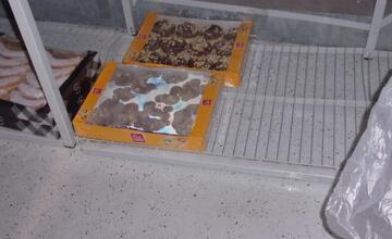 FOTO: Inšpektori v predajniach s potravinami odhalili viacero nedostatkov