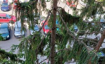 FOTO:  Orez stromov v Ružinove pobúril obyvateľov. Je to biomasaker?