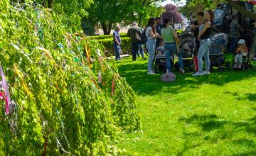 FOTO: Takto stavali máj v Senci. S veľa stužkami a úsmevom na tvári
