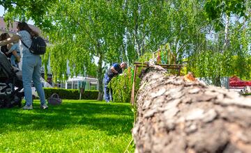FOTO: Takto stavali máj v Senci. S veľa stužkami a úsmevom na tvári