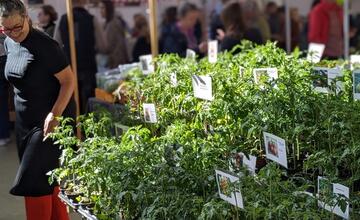 FOTO: Sobotný trh v Starej tržnici víta prvých návštevníkov