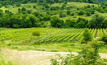 FOTO: Nová atrakcia Pezinka. Nad Mandľovým sadom postavili obrovskú lavičku