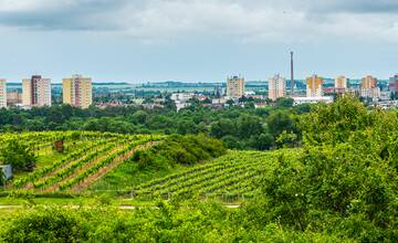 FOTO: Nová atrakcia Pezinka. Nad Mandľovým sadom postavili obrovskú lavičku