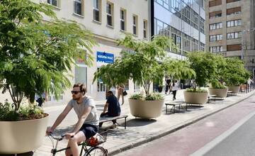 FOTO: Nová zeleň na Dunajskej