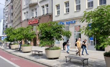 FOTO: Nová zeleň na Dunajskej