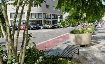 FOTO: Nová zeleň na Dunajskej