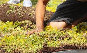 FOTO: Prvá zelená zastávka v Bratislave na Zlatých Pieskoch