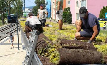 FOTO: Prvá zelená zastávka v Bratislave na Zlatých Pieskoch