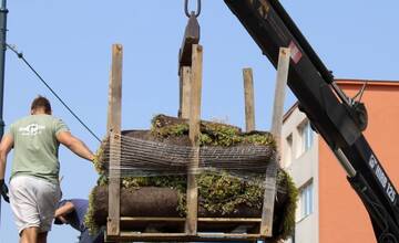 FOTO: Prvá zelená zastávka v Bratislave na Zlatých Pieskoch