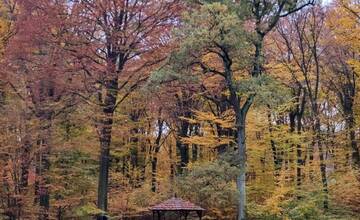 FOTO: Kam do prírody v Rači? Navštívte Malú Baňu, Vypálenisko či vodnú nádrž Vajspeter 