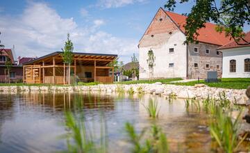 FOTO: V jazierku ekocentra v Čuňove začínajú kvitnúť lekná
