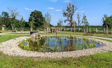 FOTO: V jazierku ekocentra v Čuňove začínajú kvitnúť lekná