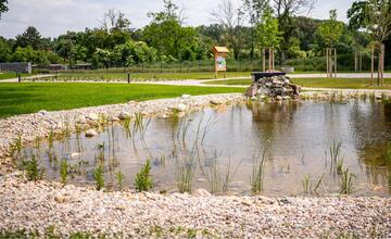 FOTO: V jazierku ekocentra v Čuňove začínajú kvitnúť lekná