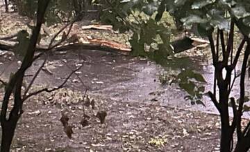 FOTO: V Ružinove úradovali búrky, odlomili množstvo konárov