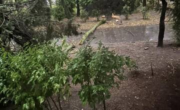 FOTO: V Ružinove úradovali búrky, odlomili množstvo konárov