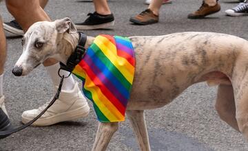 FOTO: Dúhového Pridu sa v Bratislave zúčastnili aj domáci miláčikovia