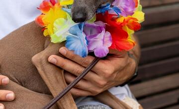 FOTO: Dúhového Pridu sa v Bratislave zúčastnili aj domáci miláčikovia