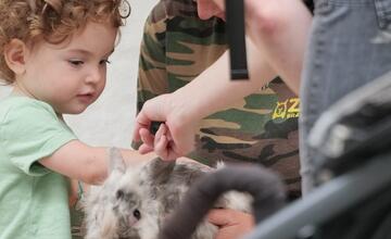 FOTO: V bratislavskej ZOO otvorili nový Gazdovský dvor. Deti si môžu prísť pohladkať kontaktné kozičky 