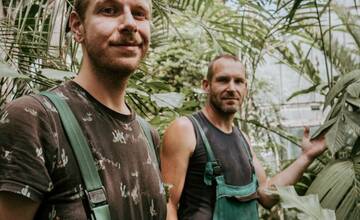 FOTO: V Botanickej záhrade UK rozkvitol vzácny kvet z Indonézie. Kvitne raz za desaťročie