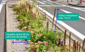 FOTO: Bratislavské ostrovčeky sa po roku rozrástli. Porovnajte si, ako vyzerali predtým