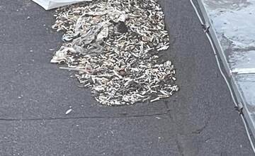 FOTO: Pod ružinovskou urológiou je smetisko cigariet. Pacienti ich hádžu von z okna