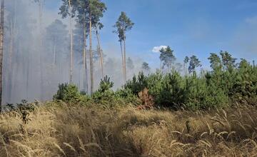 FOTO: Na Záhorí vypukol rozsiahly lesný požiar