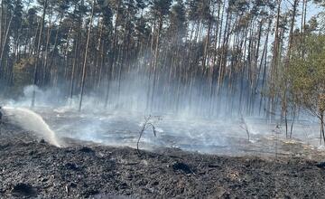 FOTO: Na Záhorí vypukol rozsiahly lesný požiar