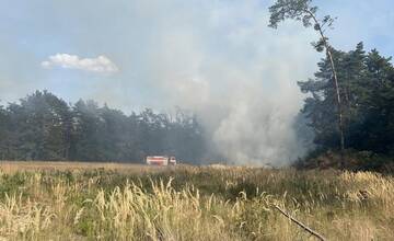 FOTO: Na Záhorí vypukol rozsiahly lesný požiar