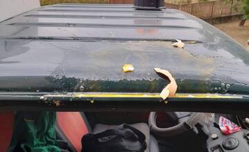 FOTO: Na Vyšehradskej ulici hádzali ľudia z balkóna odpadky na zamestnancov Petržalky 