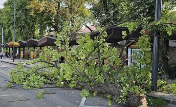 FOTO: Cez víkend budú Bratislavu bičovať búrky. Takto vyzerali zásahy hasičov a policajtov naposledy