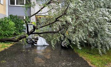 FOTO: Bratislavskí hasiči zasahovali pre extrémne počasie viac než 100-krát