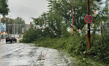 FOTO: Silný vietor v Ružinove vyvracal stromy. Mestská časť vyzerá ako z postapokalyptického filmu