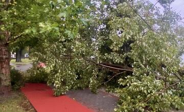 FOTO: Silný vietor v Ružinove vyvracal stromy. Mestská časť vyzerá ako z postapokalyptického filmu