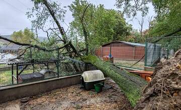 FOTO: Slobodu zvierat zaplavila voda, na výbehy spadol strom
