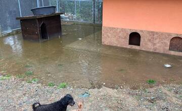 FOTO: Slobodu zvierat zaplavila voda, na výbehy spadol strom