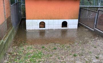 FOTO: Slobodu zvierat zaplavila voda, na výbehy spadol strom