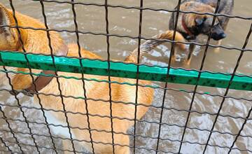 FOTO: Slobodu zvierat zaplavila voda, na výbehy spadol strom