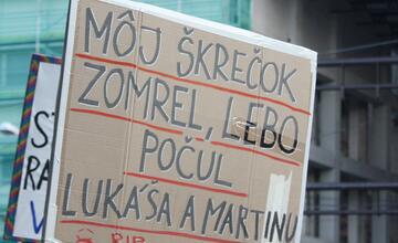 FOTO: Kultúrny štrajk v Bratislave. Na pódiu vystúpil aj Tomáš Maštalír