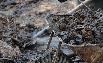 FOTO: Brigádnici upratovali bratislavskú ZOO po povodni