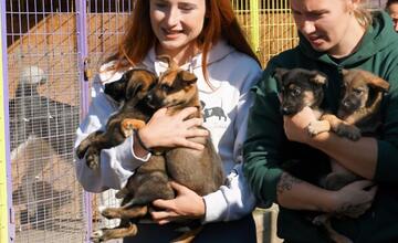 FOTO: Deň v breznianskom útulku Tuláčik