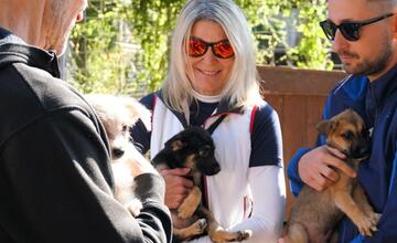 FOTO: Deň v breznianskom útulku Tuláčik