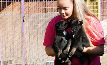 FOTO: Deň v breznianskom útulku Tuláčik