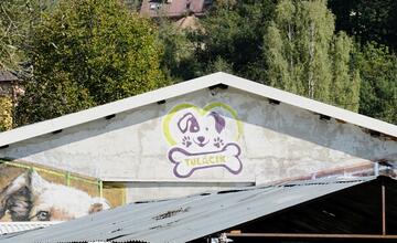 FOTO: Deň v breznianskom útulku Tuláčik