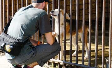 FOTO: Deň v breznianskom útulku Tuláčik