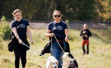 FOTO: Deň v breznianskom útulku Tuláčik