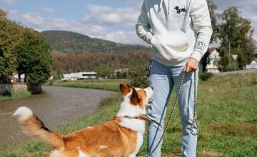 FOTO: Deň v breznianskom útulku Tuláčik