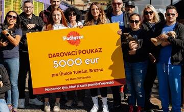 FOTO: Deň v breznianskom útulku Tuláčik