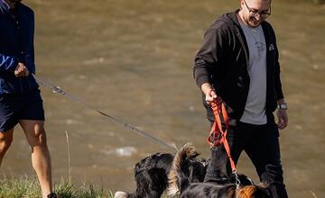 FOTO: Deň v breznianskom útulku Tuláčik
